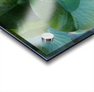 Emerald Cradle of Calm Acrylic print