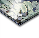 Blooms of Joy: Centered Among Giants Acrylic print