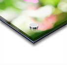 Petals and Purpose: An Ode to Quiet Industry Acrylic print