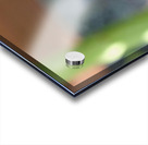 The Quiet Provider: Portrait of Pollination Acrylic print