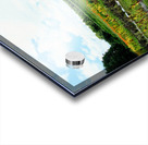 The Silent Pulse of Cultivation Acrylic print