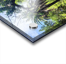 Path to the Palms Impression Acrylique