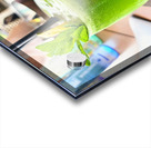 Botanic Burst Acrylic print