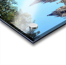 Gothic Roots Olive Crowns: The Cathedral at an Angle of Awe Acrylic print