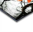 A Fallen Farewell: One Last Note Impression Acrylique