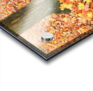 Leaves Me Stumped: Rooted in Color Impression Acrylique