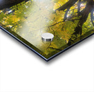 Fall Transition: Beneath the Light of Leaves Impression Acrylique