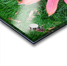 Leaf Me on the Grass Acrylic print