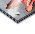 Holding Onto Fall: Nature’s High Five Impression Acrylique