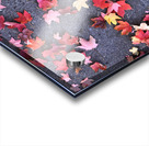 Grounded in Colors 1B Acrylic print