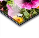 Whispers in Bloom – Petunia Poetry Impression Acrylique