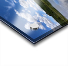 Cloud Watching by the Lake Impression Acrylique