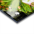 Floravox: The Soft-Spoken Twins Impression Acrylique