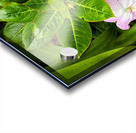 Twin Beauty & Symmetry Acrylic print