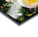 Alchemy in Bloom Acrylic print