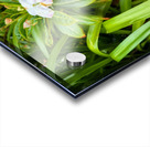 Green Rhythm Pink Pause Acrylic print