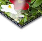 Bold Petals Quiet Strength Impression Acrylique