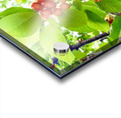 The Humble Crown of the Orchard Queen Impression Acrylique