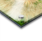 Nature’s Compass: All Directions One Origin Acrylic print