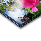 Petal by Petal: Becoming Beautiful Without Permission Acrylic print