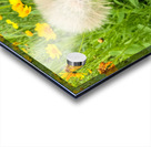 The Wild Stillness Between Wishes Impression Acrylique