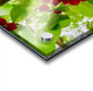 The Patience of Fruit: A Quiet Celebration Acrylic print