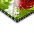 The Orchard’s Pulse: Where Color and Ripeness Conspire Impression Acrylique