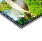 The Watcher in the Grass Impression Acrylique