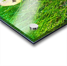 A Quiet Uprising from Below Acrylic print