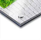 Fungal Solar Disc Acrylic print