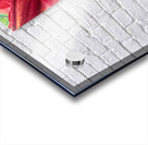 Close Encounter with Red Asiatic Lily Impression Acrylique