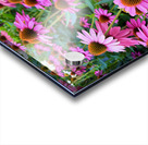 The Garden Collective Acrylic print