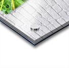 Heart of Summer Acrylic print