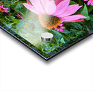 Coneflower Chorus Impression Acrylique