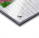 Vital Encounter Acrylic print