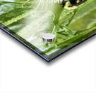 Teasel’s Midday Guest Impression Acrylique