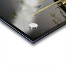 IMG 0438 Acrylic print