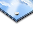 IMG 0088 Acrylic print