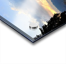 IMG 0505 Acrylic print