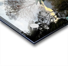 IMG 0467 Acrylic print