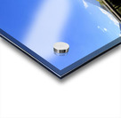 IMG 0032 Acrylic print