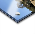 IMG 9558 Acrylic print