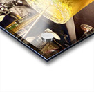 IMG 0391 Acrylic print