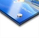 IMG 0553 Acrylic print