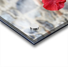 IMG 9957 Acrylic print