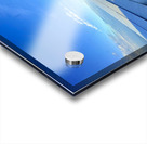 IMG 0551 Acrylic print