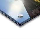 IMG 9939 Acrylic print