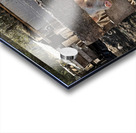 IMG 9518 Acrylic print