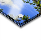 IMG 0025 Acrylic print