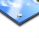 IMG 0158 Acrylic print